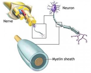 Numbness Tingling Burning Feet